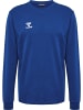 Hummel Hoodie "Hmlauthentic Co Training Sweat" in Blau