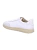 Gant Sneaker Low in weiß