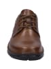 Josef Seibel Halbschuh New Anvers 06 in braun