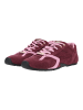 Steve Madden Sneaker ASIEL Dunkelrot