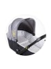 Chipolino VVMAT0210 in natur