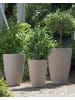 Beliani Outdoor Blumentopf CAMIA in Beige - (W) 43 x (H) 60 x (L) 43 cm