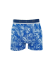 Schiesser Schiesser Boxershorts 3 Pack Unterhosen Shorts in blau