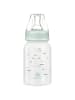 Kikkaboo Savanna 120 ml in grün