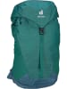 Deuter Wanderrucksack AC Lite 30 in Alpinegreen/Arctic