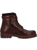 palado Schnürstiefel in mid rown 12842/Castana