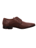LLOYD Business Schnürschuh in braun