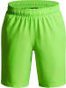 Under Armour Sportshorts "Tech Woven Wordmark Shorts" in Grün
