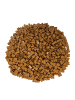 LEGO 1x2 Mauersteine Hochsteine Nougat 98283 50x Teile - ab 3 Jahren in brown