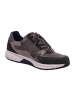 Gabor Comfort Damen- Schnürschuhe Sneaker low in Grün
