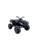 Wisam® Elektro Quad BDM 0909 24V 2x45W USB SD MP3 Radio FM