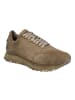 Josef Seibel Sneaker Adrian 01 in taupe