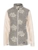 Alp1964 Jacke 296501 in grau