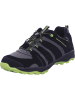 Lico Trekkingschuh in grau