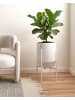 Beliani Indoor Blumentopf HYBRIDUM in Weiß - (W) 33 x (H) 62 x (L) 33 cm