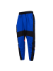 adidas Hose Urban Woven Pant in Blau