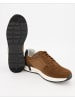 Pius Gabor Sneaker low in Braun