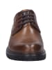Josef Seibel Erroll 50 in cognac