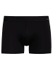 Calida New Boxer in schwarz