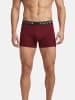 Tazzio Boxershorts 6er-Pack "BS1000" in Bordeaux