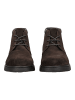 Geox Stiefelette in Dunkelbraun