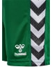 Hummel Kurze Hose Playful Shorts Kinder in EVERGREEN