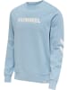 Hummel Pullover in Blau