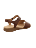 Gabor Comfort Sandalette in braun