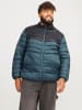 JACK & JONES PLUS Steppjacke in Magical Forest