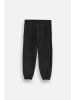 Coccodrillo Jogginghose in schwarz