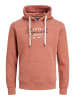 Jack & Jones Sweatshirt 'Willowbranding' in Orange