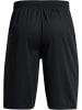 Under Armour Short "UA Perimeter Shorts (27 cm)" in Schwarz