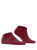 Falke Sneakersocken Family in Ruby