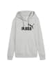 Puma No. 1 Logo Kapuzenpullover mit Kägurutaschen in Grau