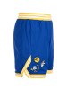 Under Armour Shorts Curry Mesh in blau / gelb