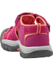 Keen NEWPORT H2 in Beere