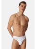 Schiesser Rio Slip / Unterhose 95/5 Stretch - Organic Cotton in Weiß