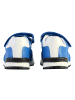 Calvin Klein Scratch Jeans Kinder-Sneaker, Low-Cut, mit Schnürung Blau