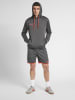 Hummel Hummel Kapuzenpullover Hmlauthentic Herren in ASPHALT