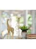 Mauro Ferretti Giraffenstatue aus goldenem Kunstharz, 19,8 x 8 x 40 cm