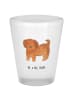 Mr. & Mrs. Panda Schnapsglas Hund Flauschig ohne Spruch in Transparent