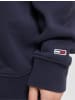 Tommy Hilfiger Kapuzenpullover in twilight navy/multicolor