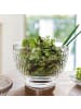 Villeroy & Boch Salatschale Boston 3,2 l in transparent