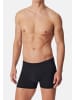 UNCOVER BY SCHIESSER Retro Short / Pant Cotton in Schwarz