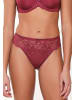 Linga Dore String DAILY in Tawny port