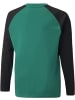 Puma Pullover "TeamLIGA Training Sweat Jr" in Grün