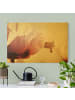 WALLART Leinwandbild Gold - Zartrosane Mohnblüte mit Wassertropfen in Rosa