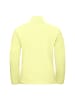 Jack Wolfskin Fleecepullover Taunus 100 Half-Zip in Gelb