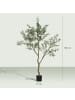 HOMCOM Künstlicher Olivenbaum-17L x 17B x 180H cm-Grün