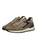 Nero Giardini Sneaker in Fango